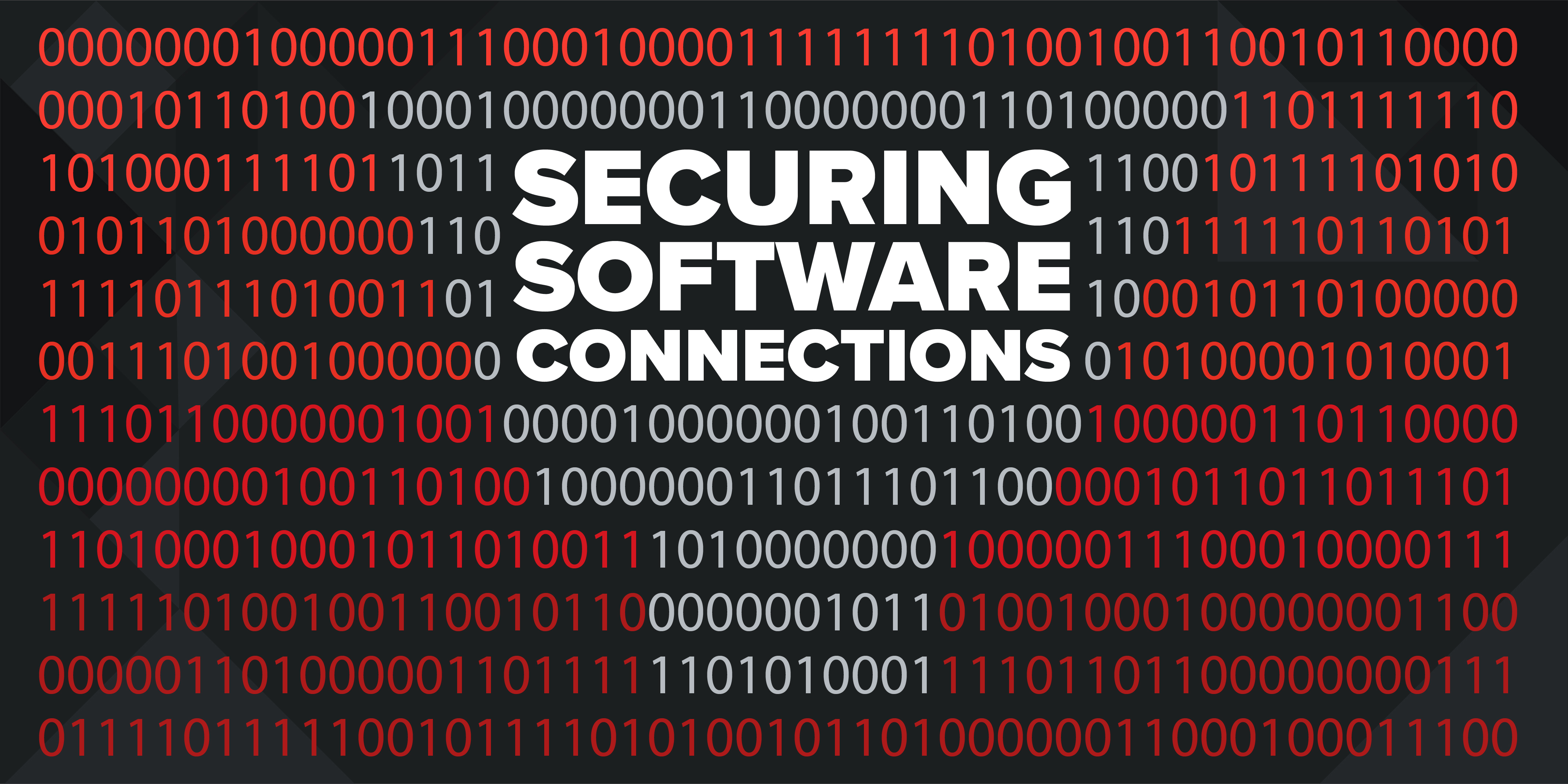 Secure Software Connections graphic